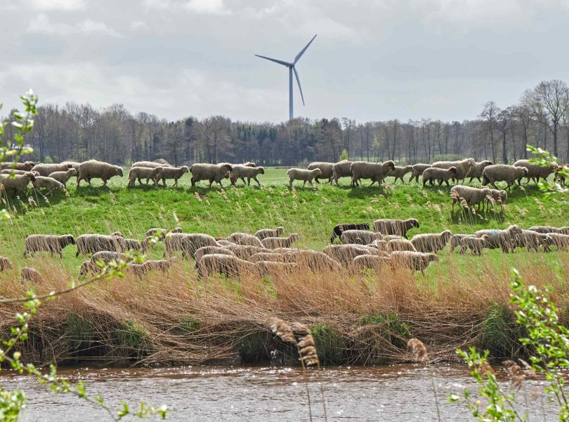 Genießen Sie eine Radtour entlang der Oste