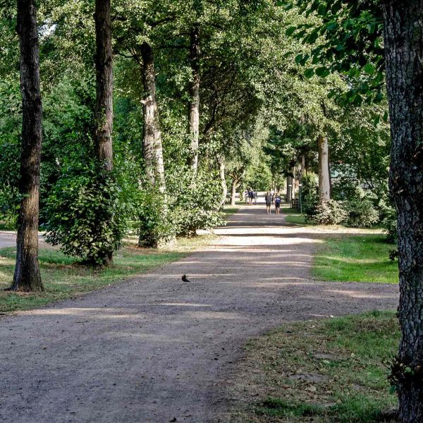 Hauptweg durch den Ferienpark, Fuß- und Radweg aus Schotter zwischen Ferienhäusern und Campingstellplätzen