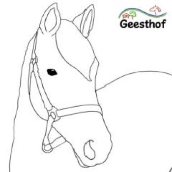Foto von Ausmalbild, das ein Ponykopf zeigt, der nach rechts schaut.