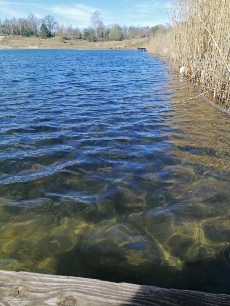 Foto des Wassers im Geestsee mit Schilfufer und Strand im Hintergrund.