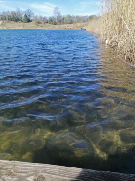 Foto des Wassers im Geestsee mit Schilfufer und Strand im Hintergrund.
