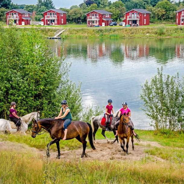 Foto von einer Gruppe Reiter, die einen Sandweg am Wasser entlang reiten.