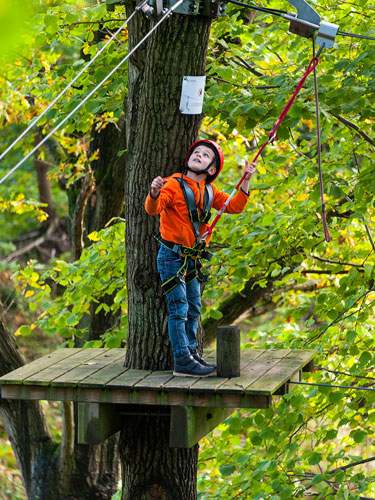 Foto einer Kletterplattform an einem Baum, auf der ein Kind steht.
