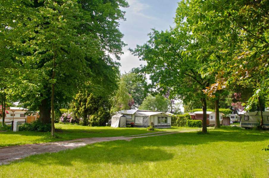 Foto eines Campingsplatzes inmitten der Natur mit Wohnwagen, Zelten und hohen Bäumen.