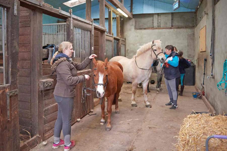 Foto von zwei Pferden und zwei Frauen in einer Stallgasse beim Putzen.