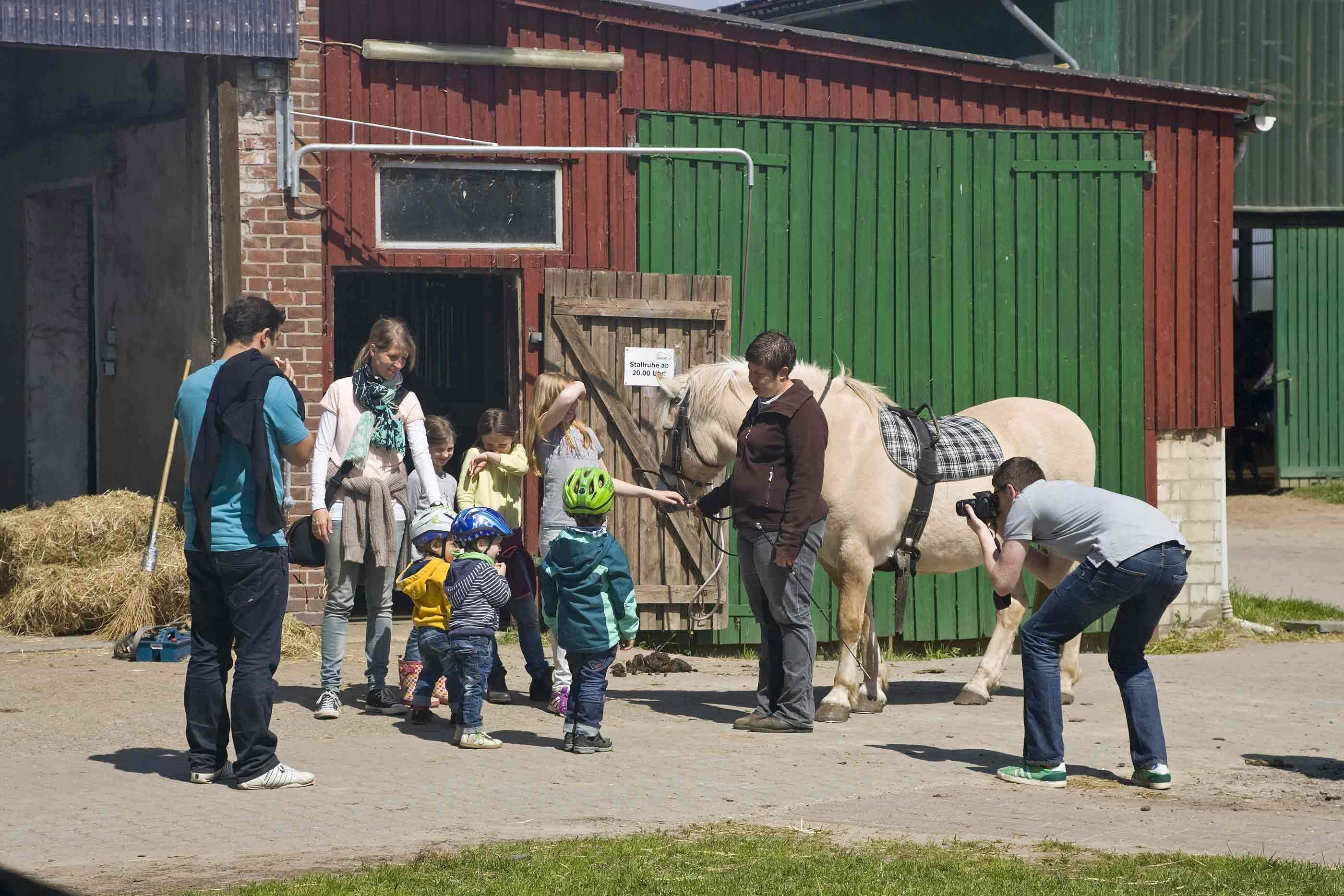 Foto von mehreren Kinder, sie mit Fahrradhelm vor einem Pferd stehen.