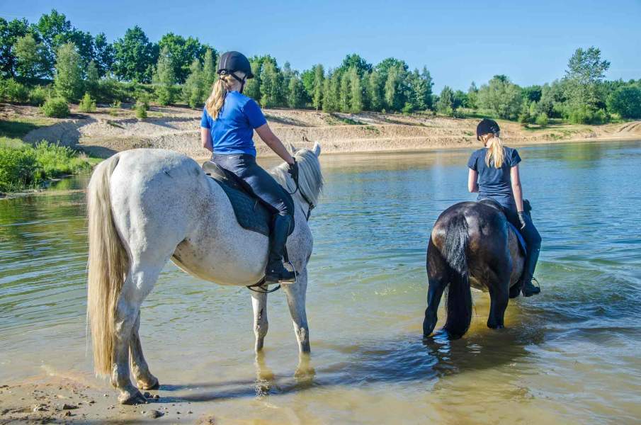 Foto von zwei Reitern mit Pferden, die in den Geestsee reiten.